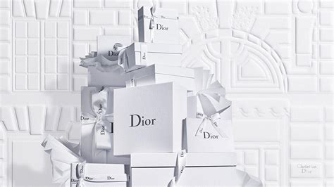 christino dior|official christian dior website.